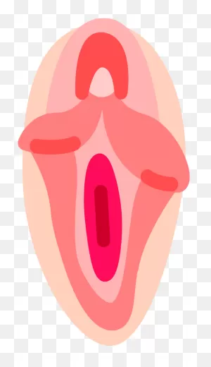 Blood Pussies - Vagina Emoji - (1000X1000) Png Clipart Download