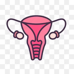 Female, Human, Internal, Organ, Ovary, Reproductive, Vagina Icon ClipartFlare.com 