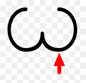 Picture - Testicle - Picture - Vagina Clipart - Full Size Clipart ClipartFlare.com 