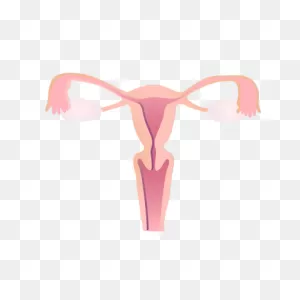 The Vagina Monoblogs: Nine Stories From Down Under - The Pitt News