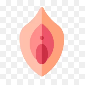 Vagina - Free Medical Icons