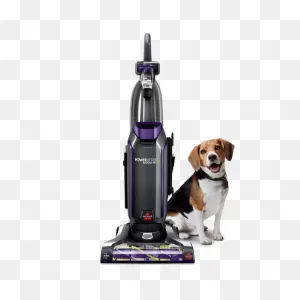 Powerlifter™ Pet Bagged Vacuum 2019 | ClipartFlare® Vacuuming