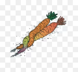 The 5 Types Of Veganism | Vegan Life Nutrition