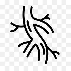 Anatomy, Arteries, Artery, Human, Organ, Vein, Veins Icon - Download ClipartFlare.com 