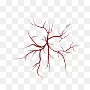 Red Veins - Veins Png - (466X468) Png Clipart Download