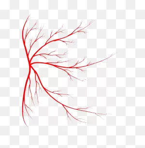 Red Veins Png Image | 