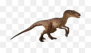Dinosaur Clipart Velociraptor - Velociraptor Silhouette - Png ClipartFlare.com 