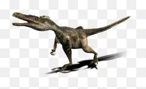 Velociraptor/generation 2 | Walking With Wikis | ClipartFlare