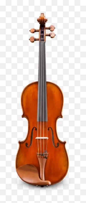 Andreas Eastman Vl405 Violin – ClipartFlare