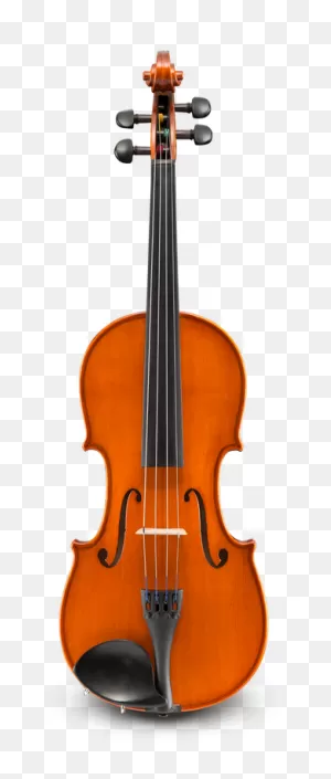 Eastman Ivan Dunov Vl140 4/4 Violin