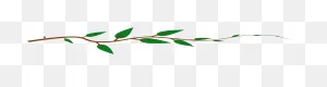 Leaf Vine PNG-WebP Clip Arts - Jungle Vines Clipart - Png Download ClipartFlare.com 