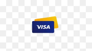 Visa Merchant Business News Digest | Visa