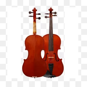 Albert Nebel Va601 Viola