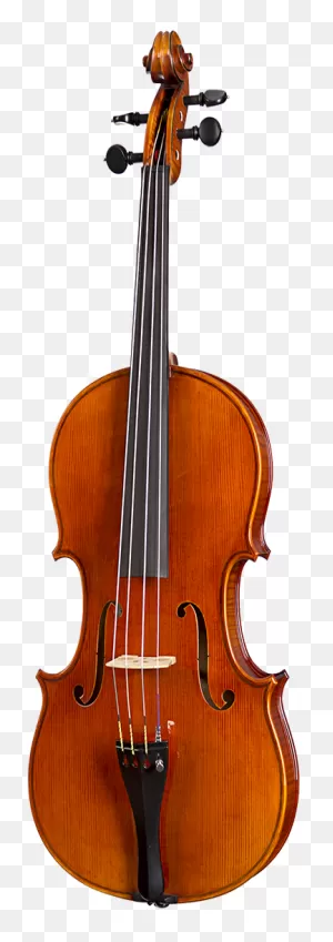 Dr20 Dragon Howard Core Advanced Viola With Case