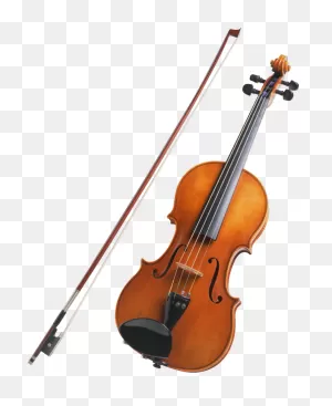 Nicolas Parola Ap20N Viola
