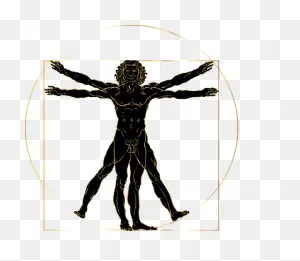20  Free Vitruvian Man & Human Images