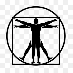 Download Vitruvian Man Png Png Image With No Background - ClipartFlare ClipartFlare.com