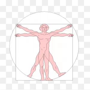 Highhill Homeschool: Leonardo Da Vinci Vitruvian Man Activity For Kids