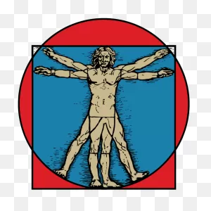 Mark Cafagna Chiropractor In San Marcos - Vitruvian Man Clipart ClipartFlare.com 