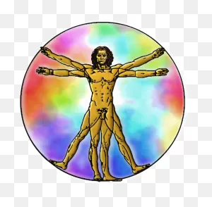 Vitruvian Man Clipart - Large Size Png Image - ClipartFlare