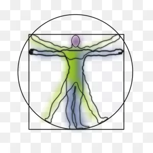 Vitruvian Man | Free PNG-WebP