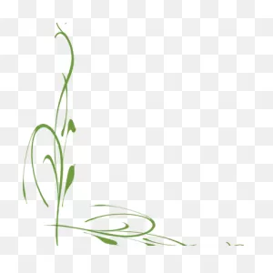 Vine Clipart Vine Border - Green Vine Border Clipart Transparent ClipartFlare.com 