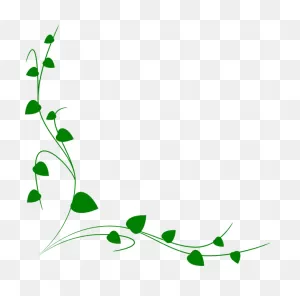 Vine Border Clipart - Full Size Clipart (#881896) - ClipartFlare