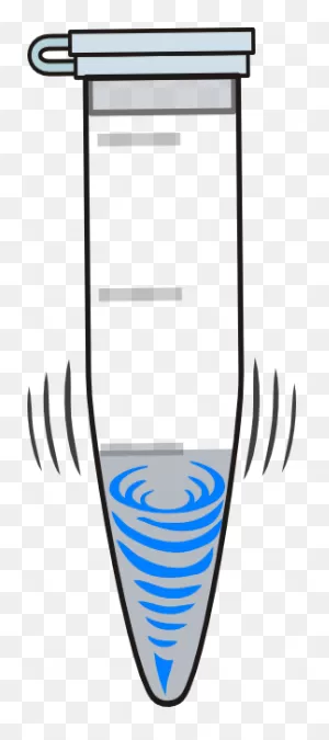 Vortex Clip Art At ClipartFlare ClipartFlare.com - Vector Clip Art Online, Royalty ClipartFlare.com 