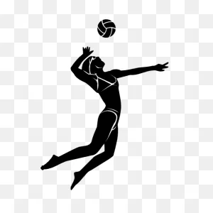 Ball, Flying, Net, Volleyball Icon - Download On Iconfinder