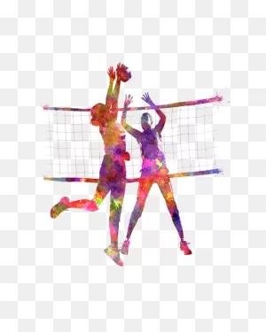 Park & Sun Sports Portable Tournament Outdoor Volleyball Net System