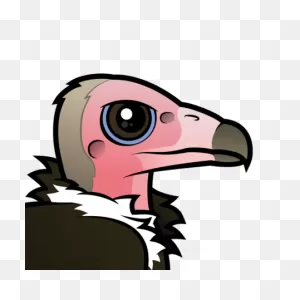 Cute Hooded Vulture By ClipartFlare < Meet The Birds