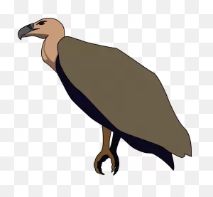 Free Vulture Cliparts, Download Free Vulture Cliparts Png Images ClipartFlare.com 