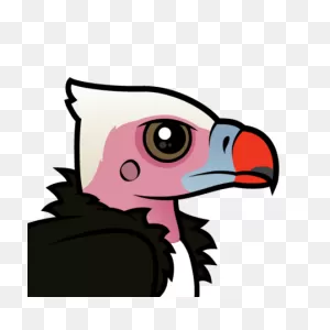 Meet The Cute White-Headed Vulture By ClipartFlare