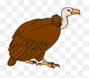 Vulture Clipart - Clipart Suggest