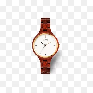Silt 608 Watch