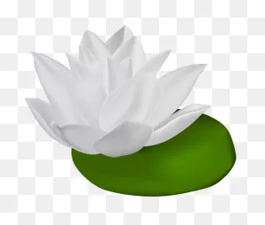 Pin By Mofida On تزيين زوايا | Clip Art, Free Clip Art, Art Images