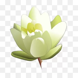 Water Lily Vector Image | Free Svg