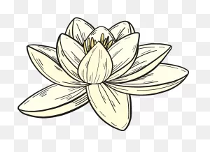 White Water Lily Clipart. Free Download Transparent .png | ClipartFlare