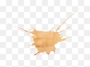 18 Brown Watercolor Splatter (Png Transparent) | ClipartFlare ClipartFlare.com
