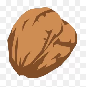 Download Walnut - Walnut Clipart Png Png Image With No Background ClipartFlare.com 