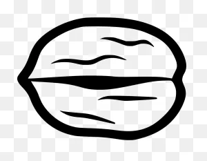 Walnut Comments Clipart - Full Size Clipart (#3123333) - ClipartFlare