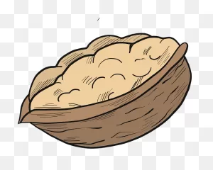 Walnut Clipart. Free Download Transparent .png | ClipartFlare