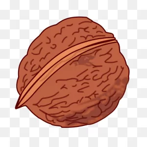 Walnut-1573222143 | Free PNG-WebP
