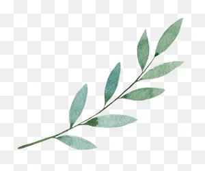 Pin By Little Orchard Designs On Watercolor | Plant Leaves, Plants ClipartFlare.com 