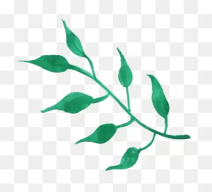 Watercolor Leaf Png - Free Green Leaf Watercolor Png Clipart ClipartFlare.com 