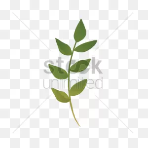Watercolor Leaves Vector Image - 1872372 | Stockunlimited