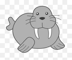 Download Walrus Clipart - Coloring Book Png Image With No ClipartFlare.com 