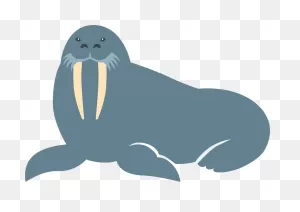 Walrus Clipart. Free Download Transparent .png | ClipartFlare