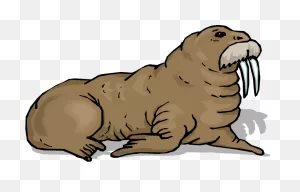 Walrus Clipart - Png Download - Full Size Clipart (#5509471 ClipartFlare.com 