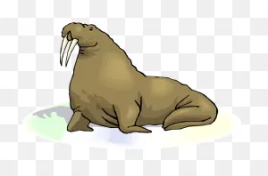 Walrus - Clipart - - Walrus With Transparent Background - Png ClipartFlare.com 